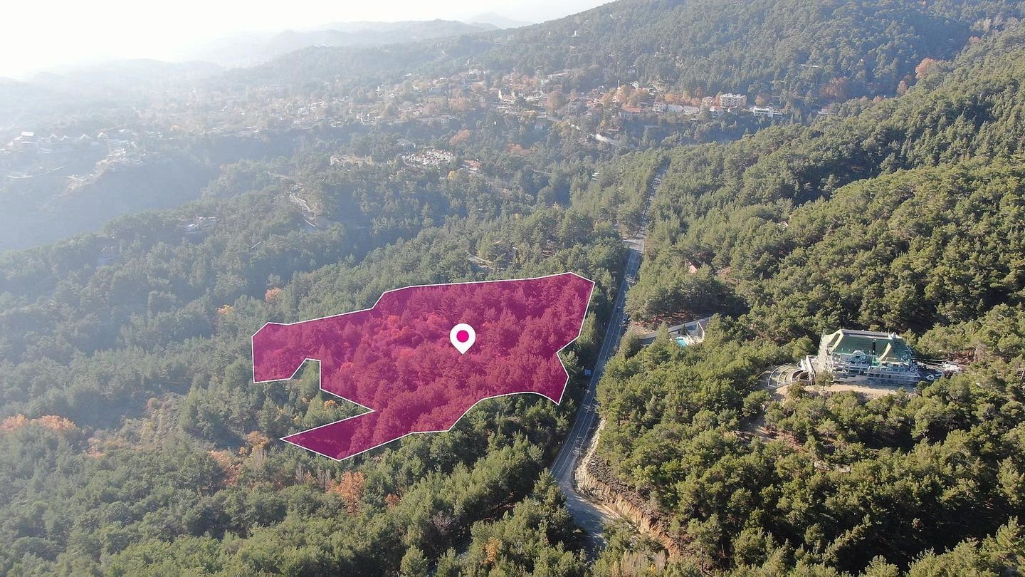 (Share) Residential Field, Pano Platres, Limassol photo 1