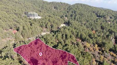 (Share) Residential Field, Pano Platres, Limassol thumbnail 4