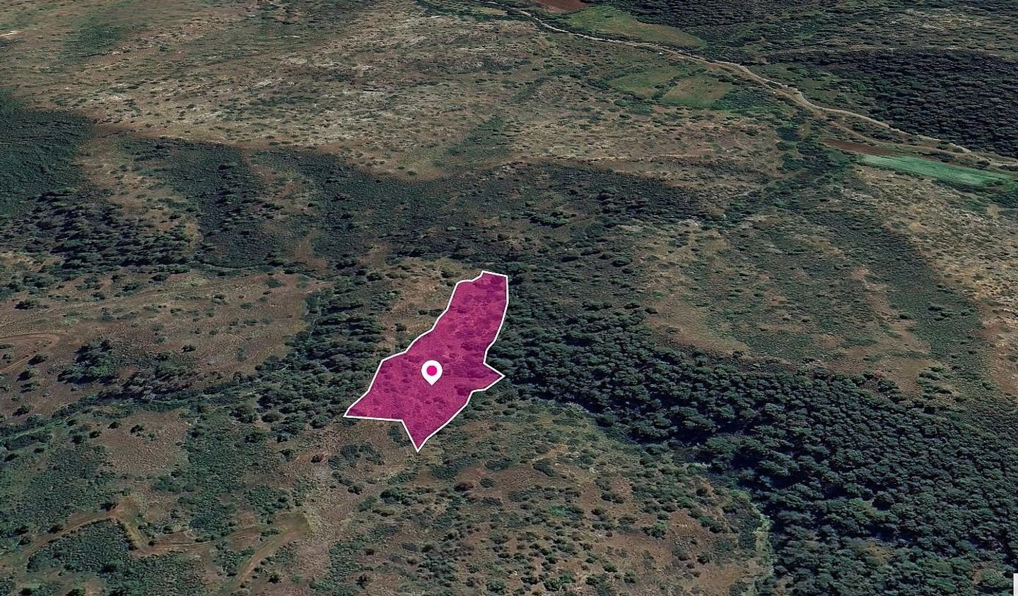 Agricultural Field in Pigenia, Nicosia photo 2