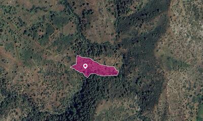 Agricultural Field in Pigenia, Nicosia thumbnail 1