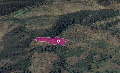 Agricultural Field in Pigenia, Nicosia thumbnail 3