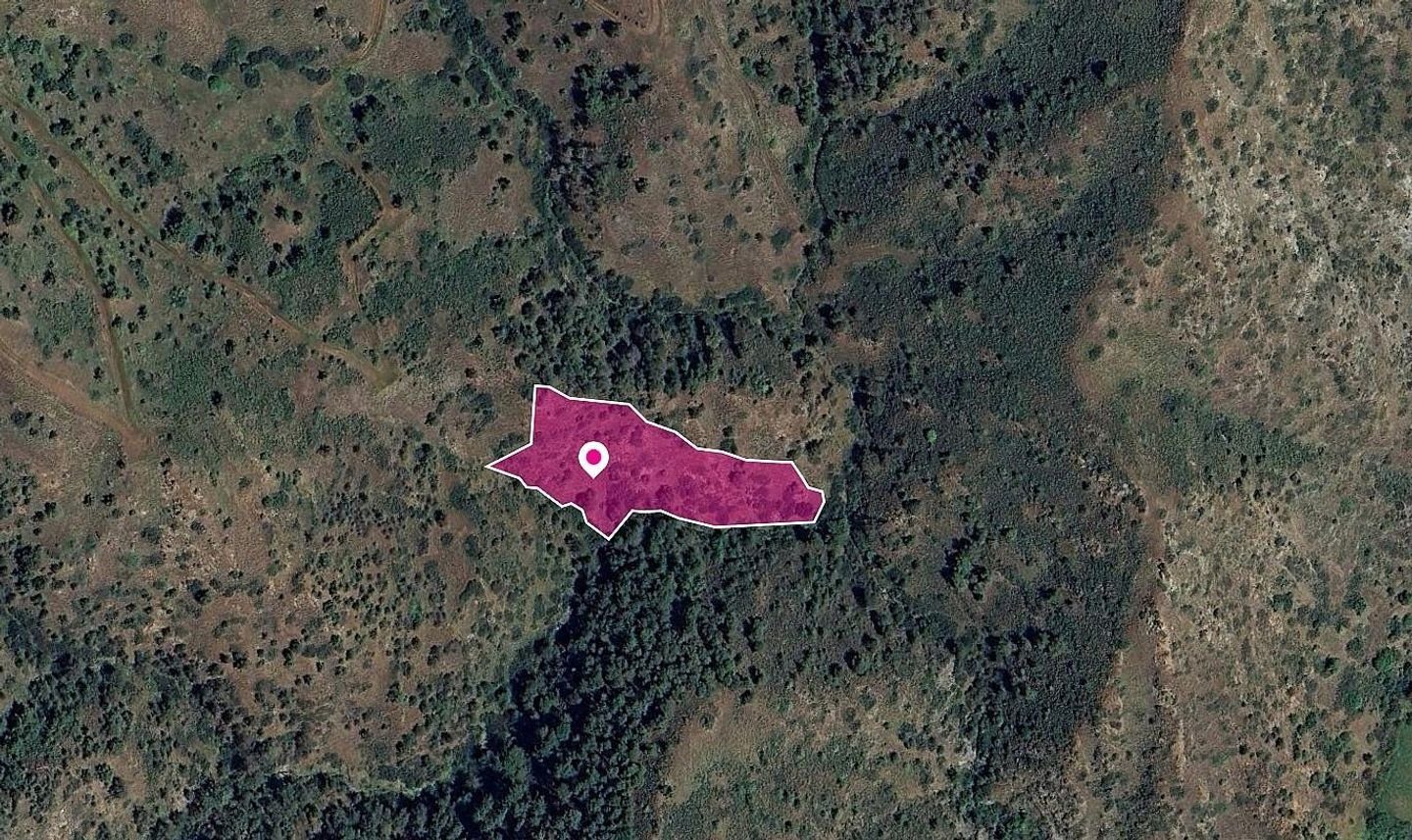 Agricultural Field in Pigenia, Nicosia photo 1