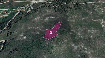 Field in Pelendri, Limassol thumbnail 1