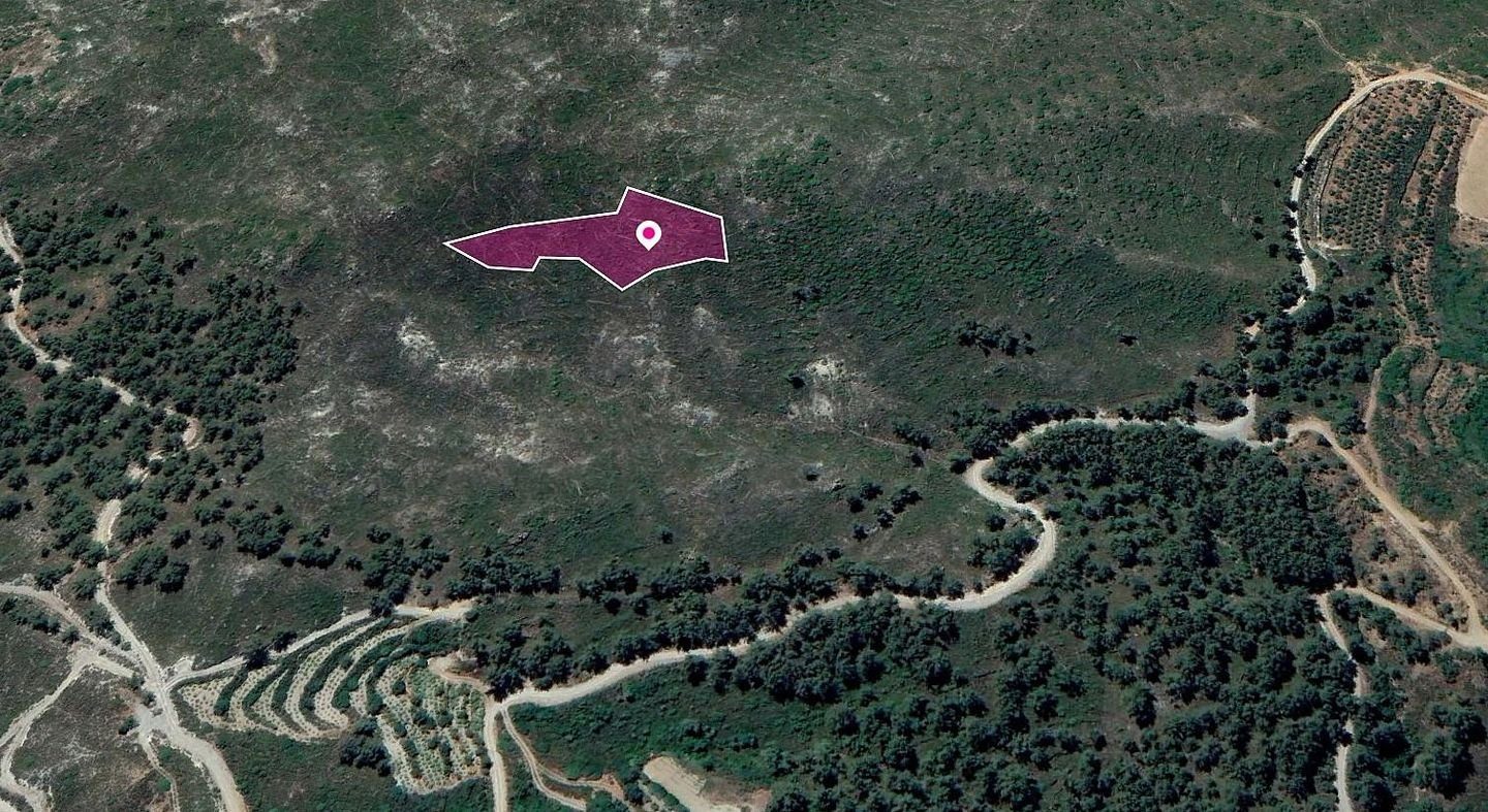 Field in Pelendri, Limassol photo 3