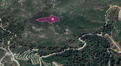 Field in Pelendri, Limassol thumbnail 3
