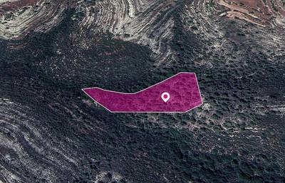 Field in Agios Therapon Community, Limassol thumbnail 2