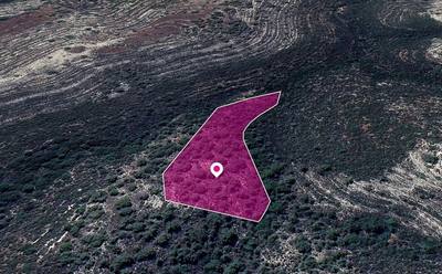 Field in Agios Therapon Community, Limassol thumbnail 3
