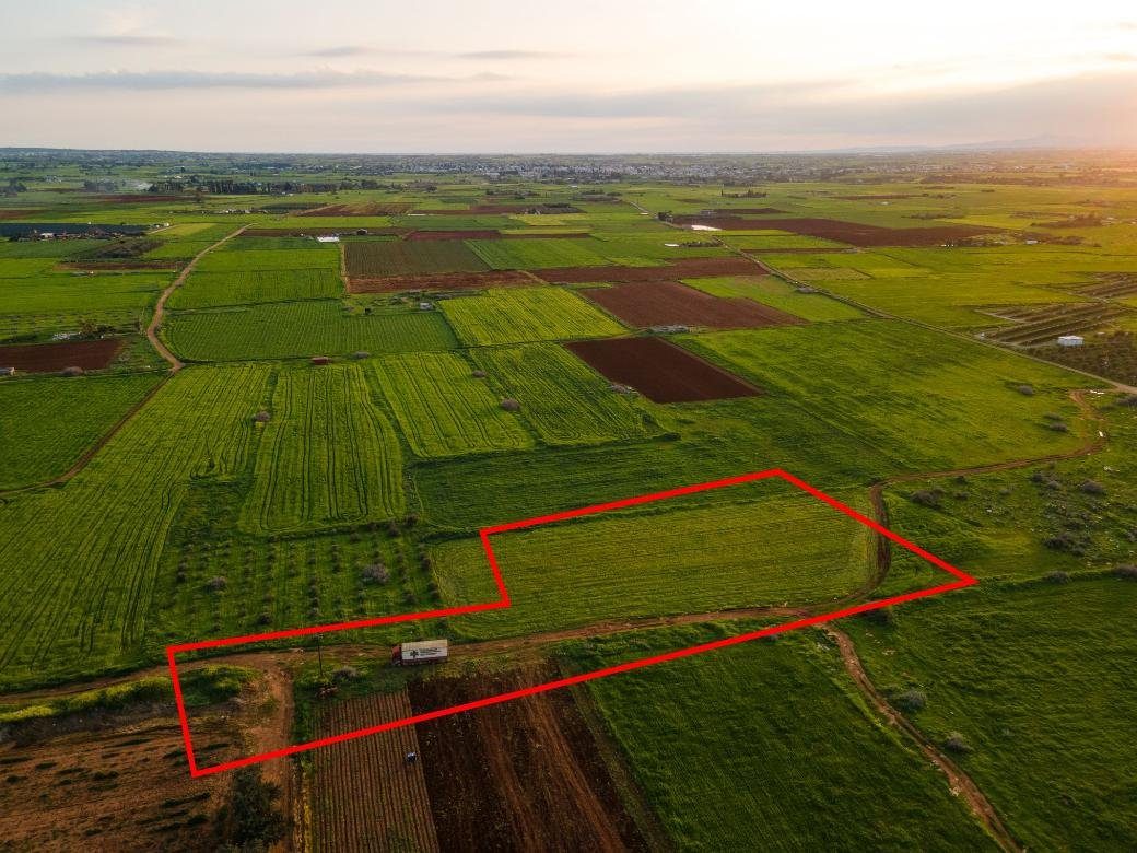 Agricultural field in Avgorou, Famagusta photo 2