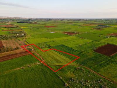Agricultural field in Avgorou, Famagusta thumbnail 1