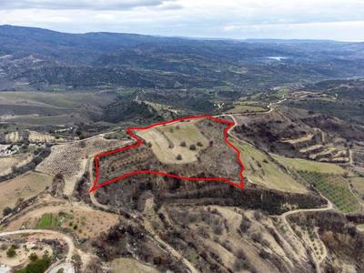 Shared fields in Agios Dimitrianos, Paphos thumbnail 5