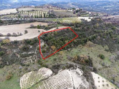 Shared fields in Agios Dimitrianos, Paphos thumbnail 1