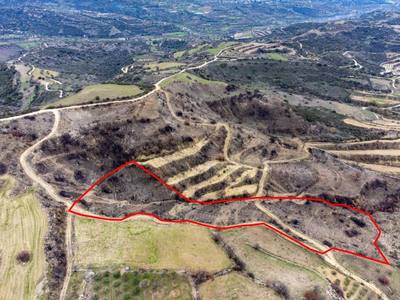Shared fields in Agios Dimitrianos, Paphos thumbnail 6