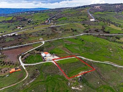 Shared fields in Agios Dimitrianos, Paphos thumbnail 11
