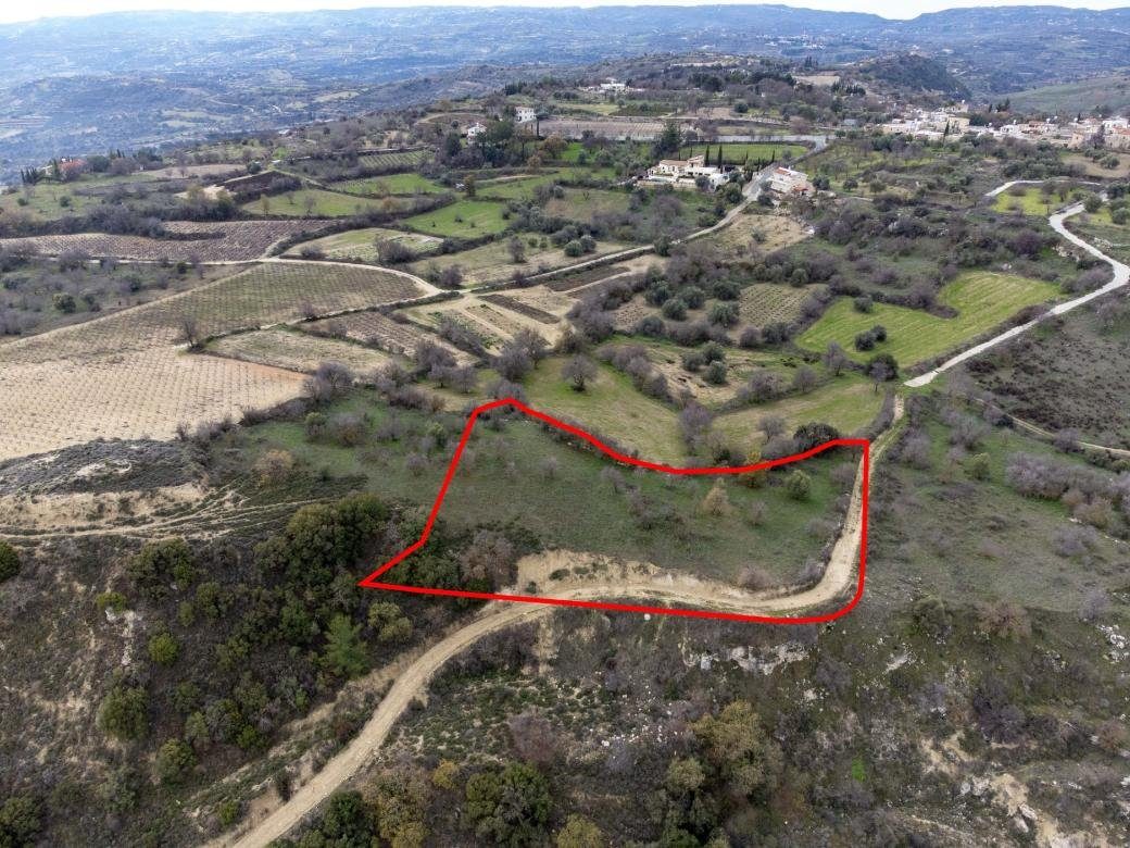 Shared fields in Agios Dimitrianos, Paphos photo 12