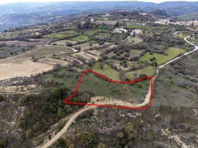 Shared fields in Agios Dimitrianos, Paphos thumbnail 12