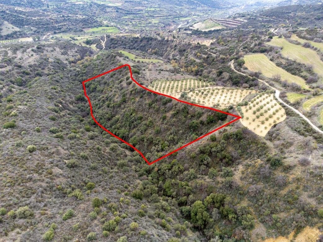 Shared fields in Agios Dimitrianos, Paphos photo 7