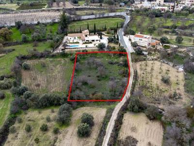 Shared fields in Agios Dimitrianos, Paphos thumbnail 2