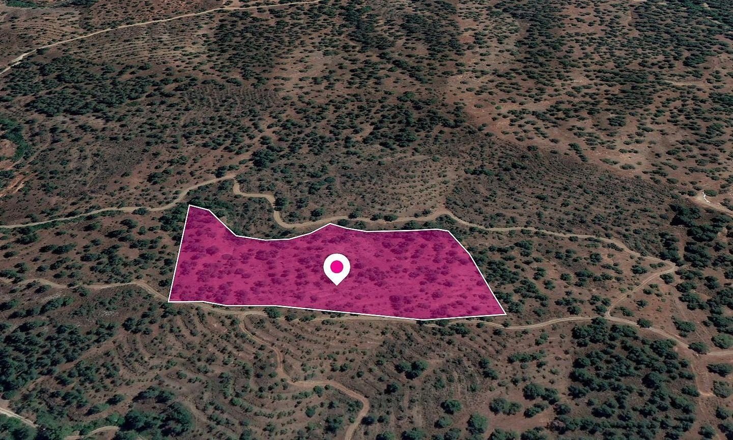 Special Protection Zone Field in Agios Theodoros, Nicosia photo 1
