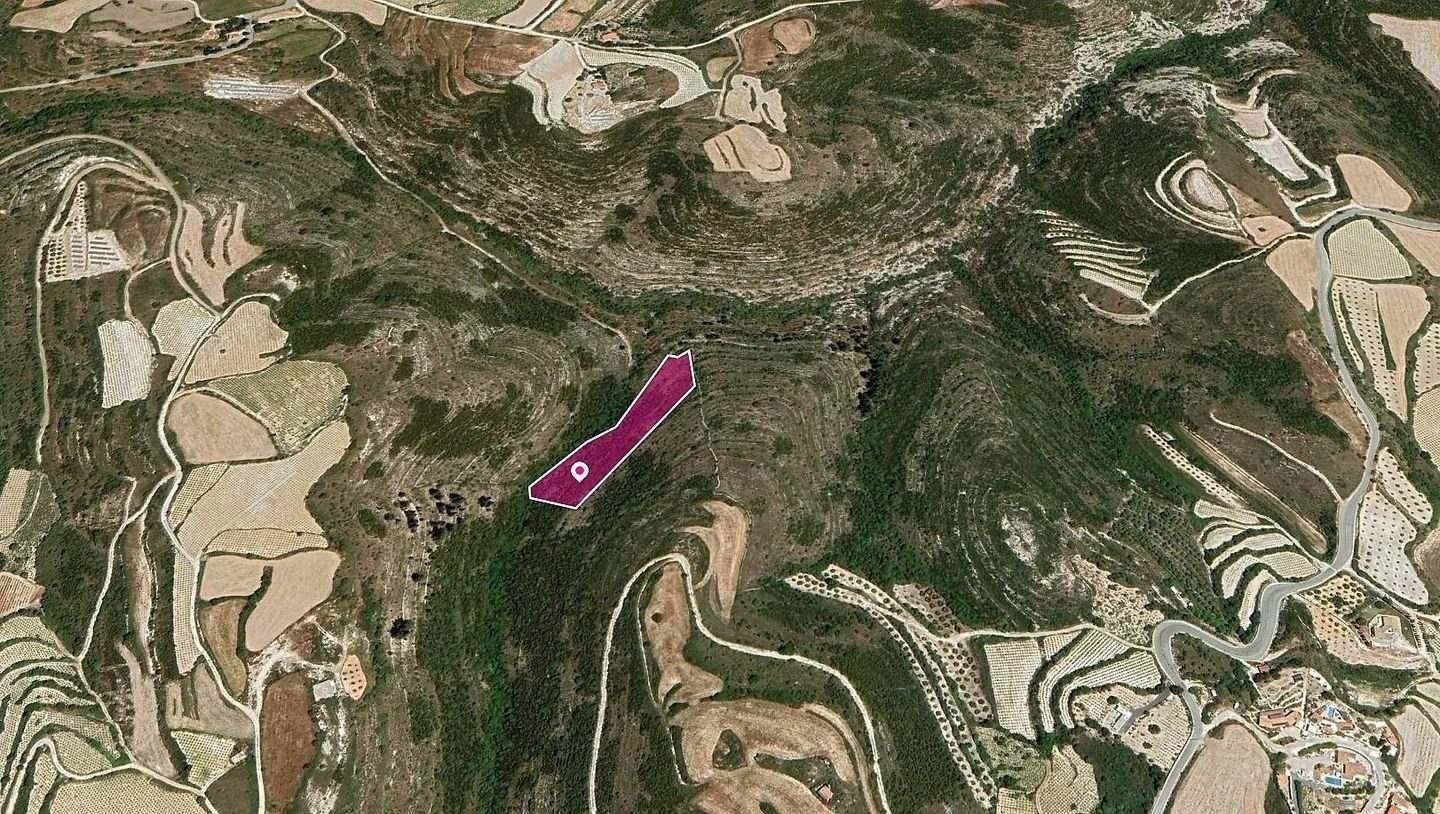 Field in Kathikas, Paphos photo 3