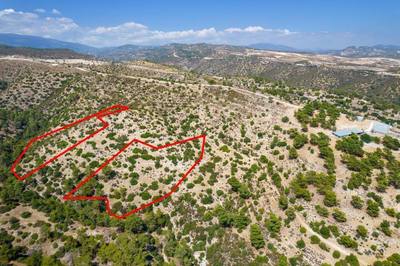 Agricultural fields in Agios Georgios, Limassol thumbnail 3