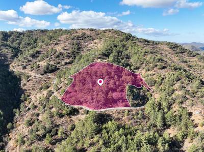 Agricultural Field in Gerakies, Nicosia thumbnail 1