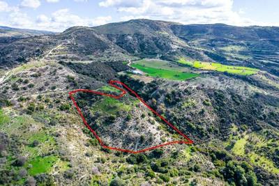 Field in Dora, Limassol thumbnail 3