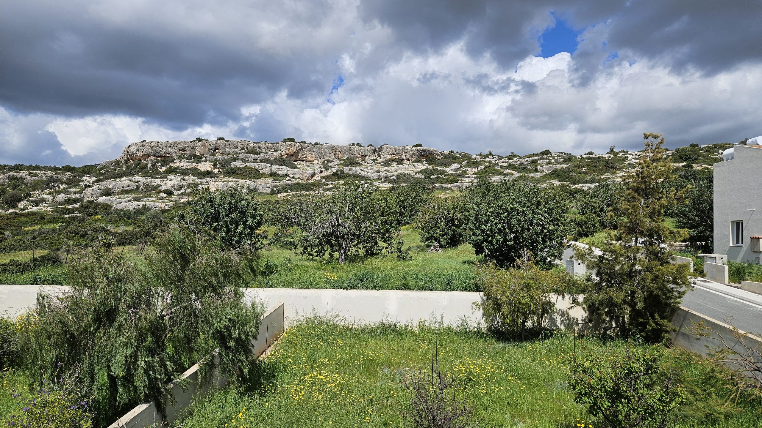 3 BR Villa in Pegeia, Paphos photo 22