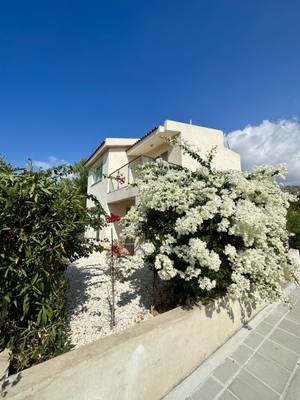 3 BR Villa in Pegeia, Paphos thumbnail 3