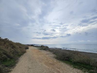 Beachfront Land in Ormidia, Larnaca thumbnail 2