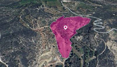 (Share) Field, Agios Isidoros, Paphos thumbnail 3
