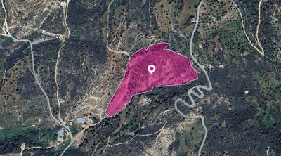 (Share) Field, Agios Isidoros, Paphos thumbnail 2