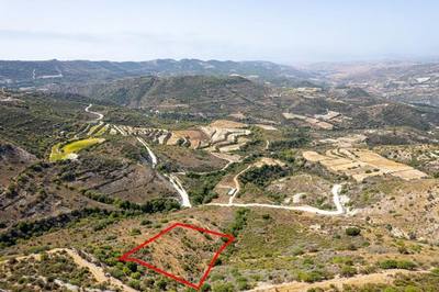 Field in Dora, Limassol thumbnail 1