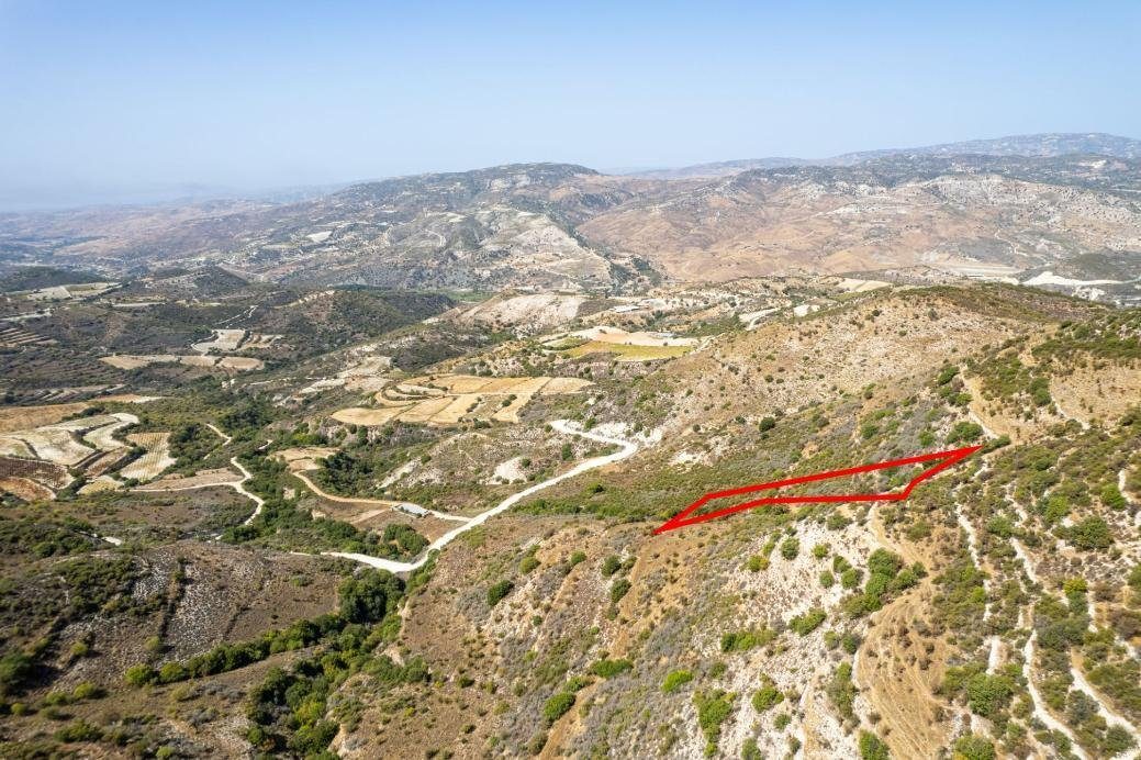 Field in Dora, Limassol photo 3