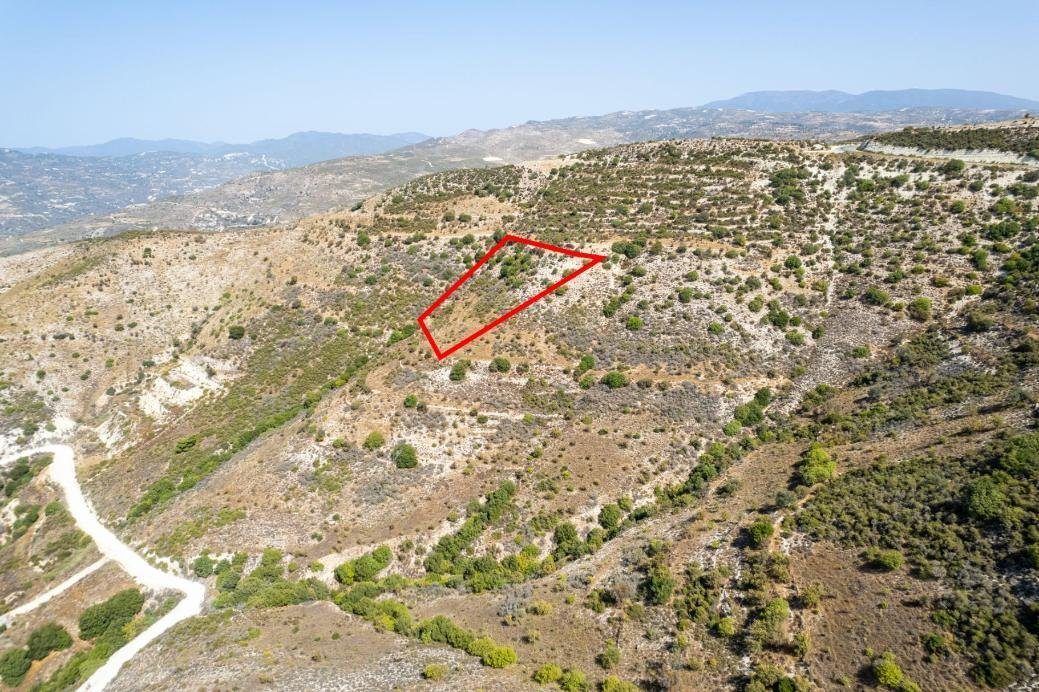 Field in Dora, Limassol photo 2