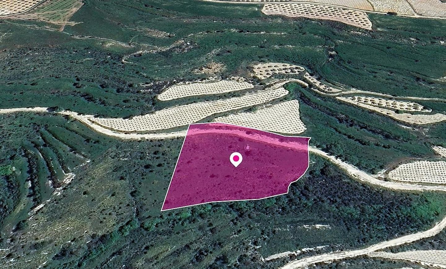 Agricultural Field in Koili, Paphos photo 3