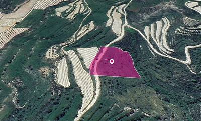 Agricultural Field in Koili, Paphos thumbnail 1