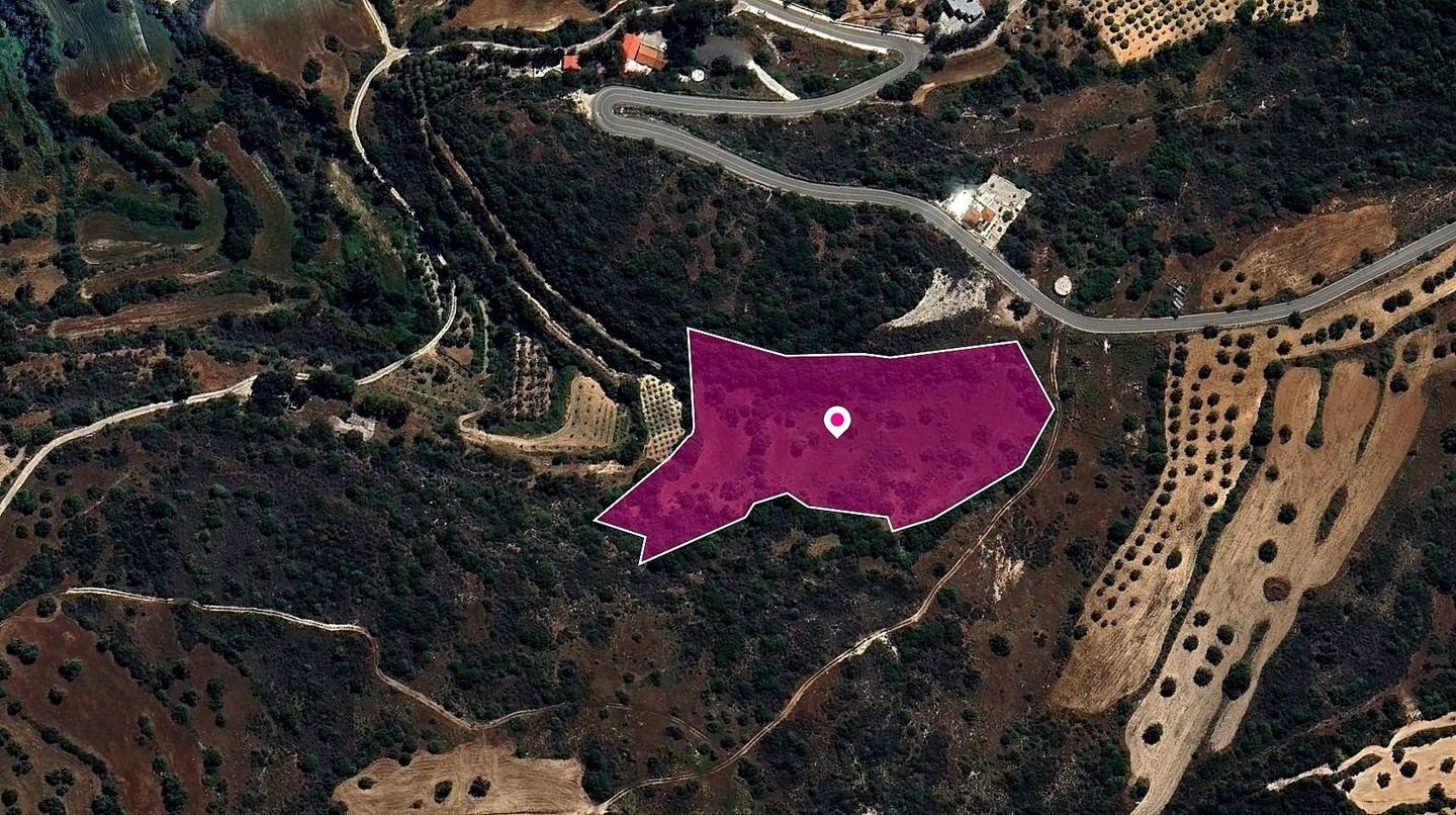 (Share) Agricultural Field in Pano Akourdaleia, Paphos photo 2