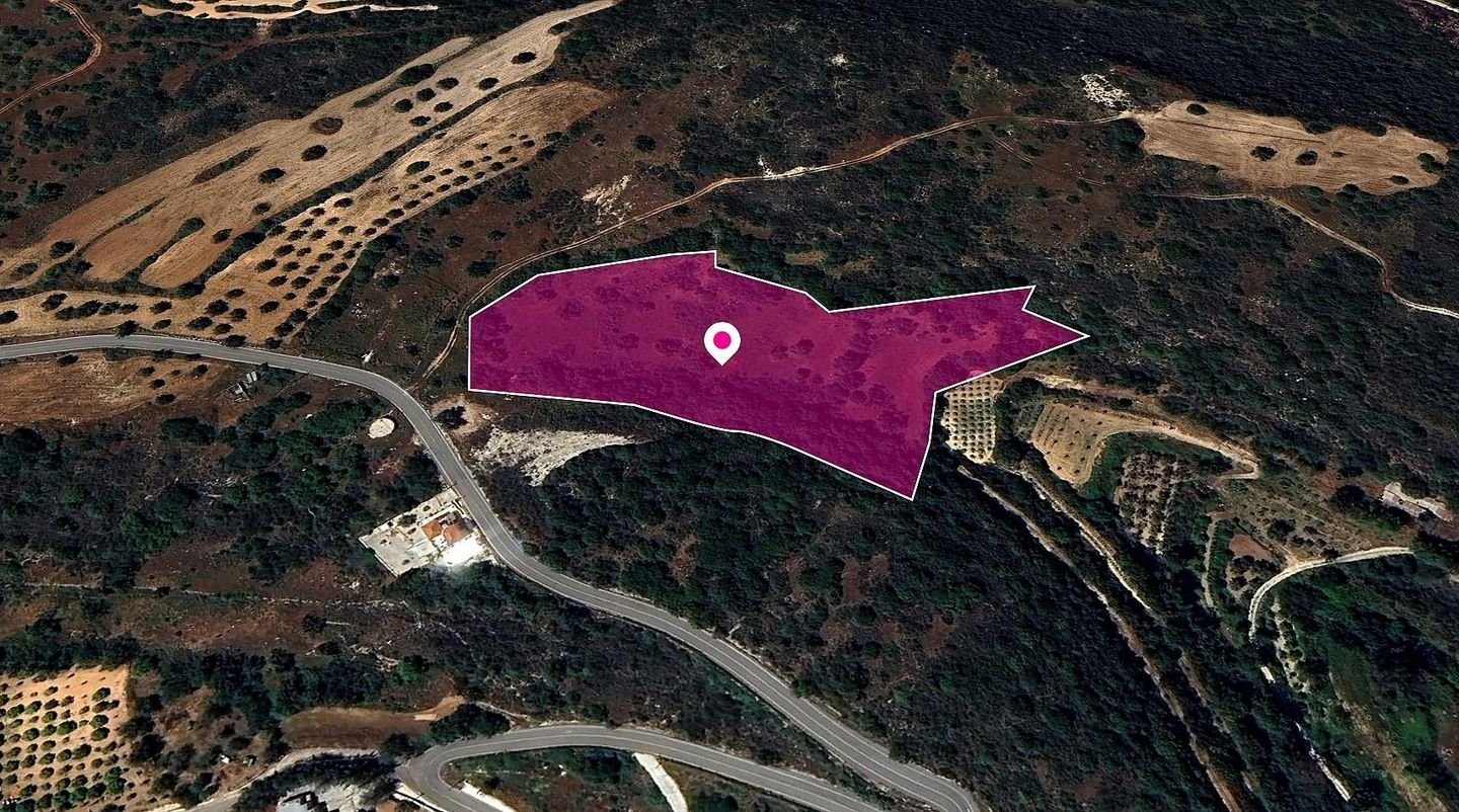 (Share) Agricultural Field in Pano Akourdaleia, Paphos photo 3