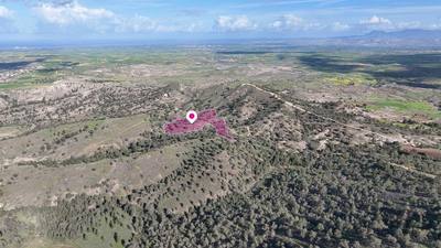 Livestock field located in Agia Marina Xyliatou, Nicosia. thumbnail 2