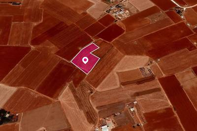 Agricultural field in Achna, Famagusta thumbnail 2