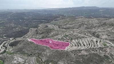 Large Agricultural field in Choirokoitia, Larnaca thumbnail 4