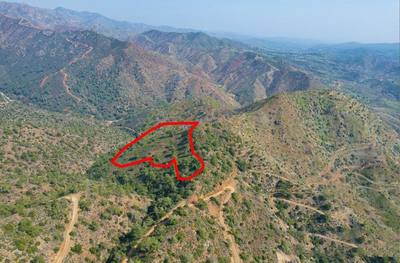 Field in Arakapas, Limassol thumbnail 2