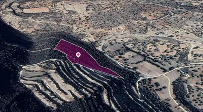 Field, Anogyra, Limassol thumbnail 1