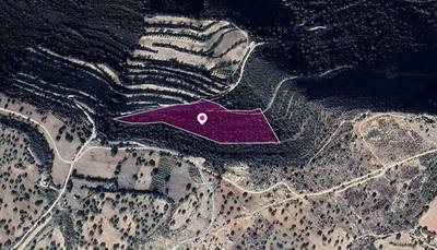 Field, Anogyra, Limassol thumbnail 2