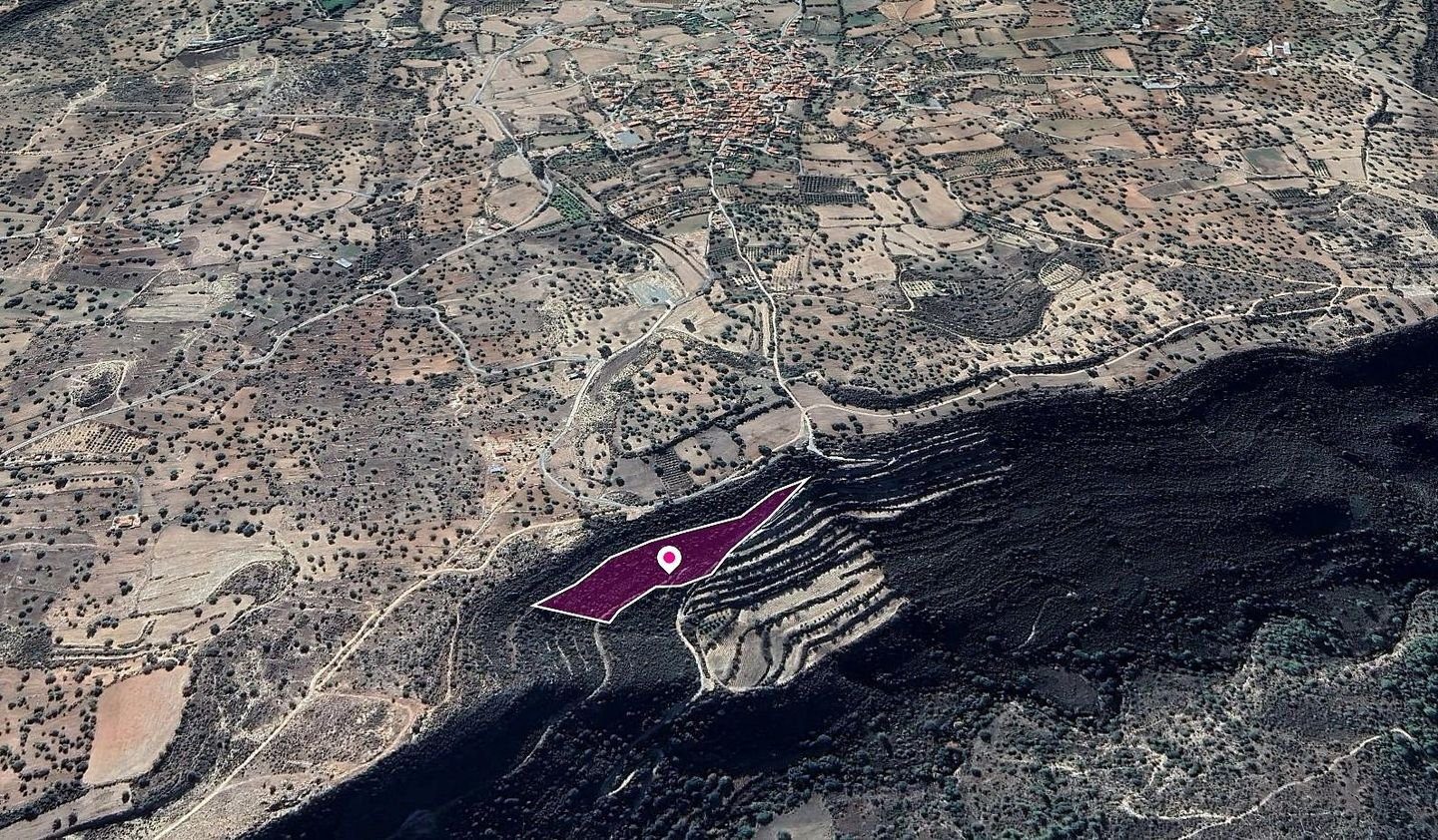 Field, Anogyra, Limassol photo 3