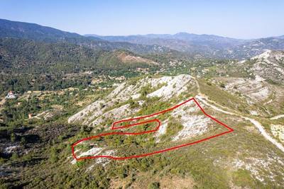 Agricultural field in Pera Pedi, Limassol thumbnail 2