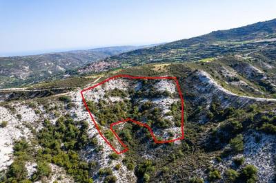Agricultural field in Pera Pedi, Limassol thumbnail 4