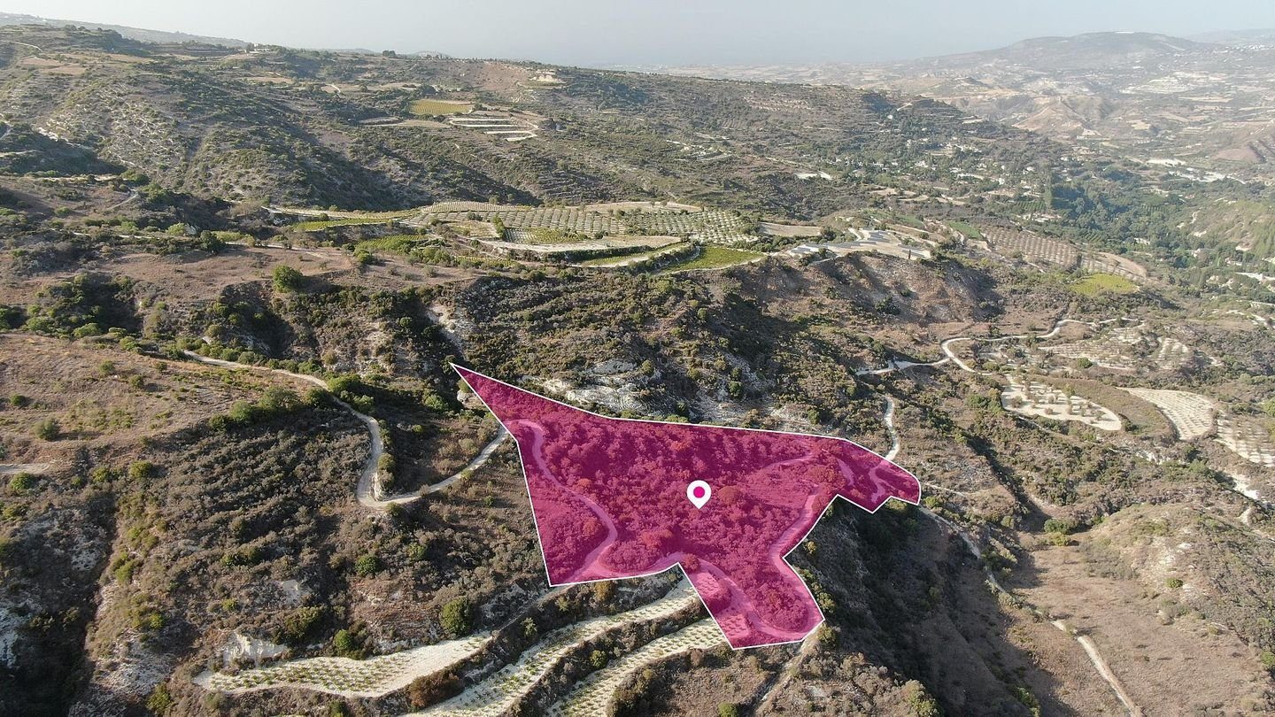 Agricultural Field in Theletra, Paphos photo 4