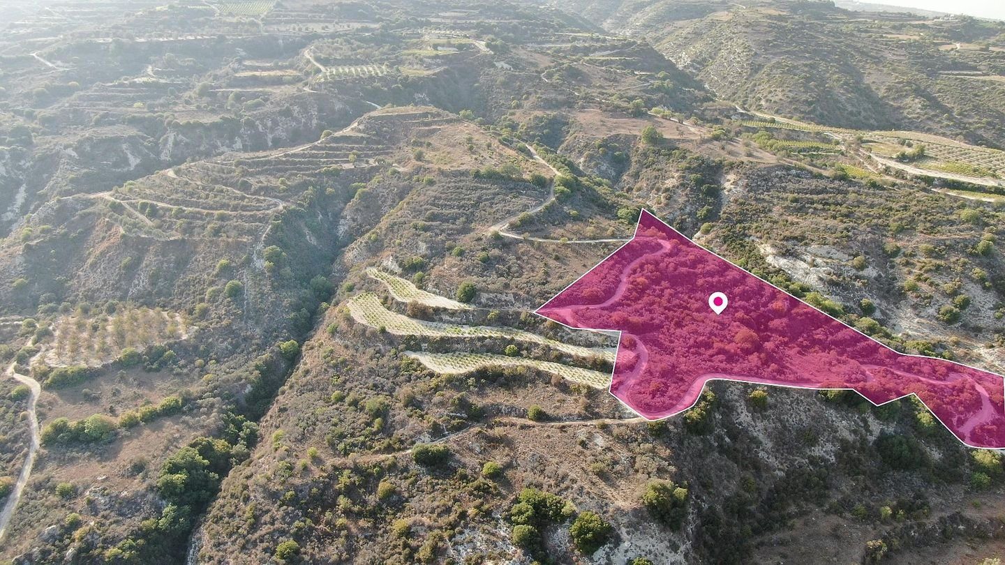 Agricultural Field in Theletra, Paphos photo 3