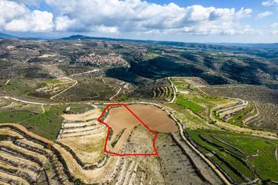 Field in Arsos, Limassol thumbnail 4